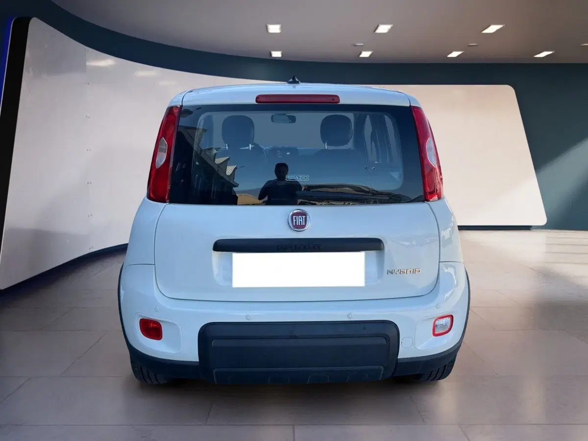 Fiat Panda Cross usata a Torino (5)