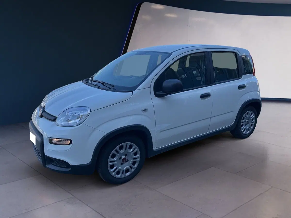 Fiat Panda Cross usata a Torino (6)