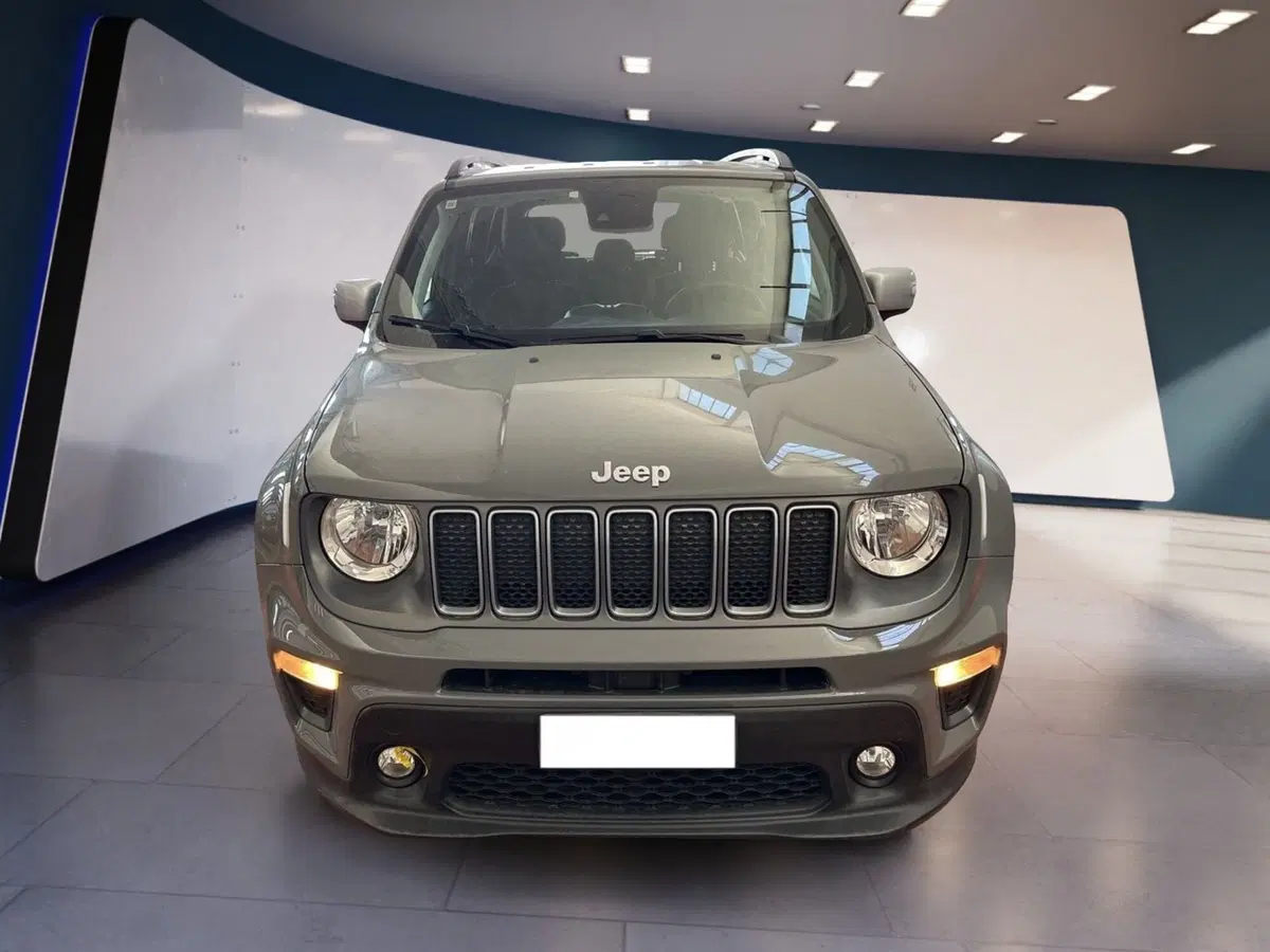 Jeep Renegade usata a Torino