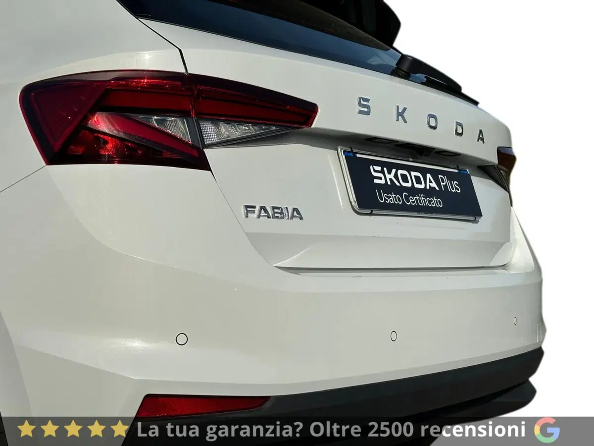 Skoda Fabia usata a Pistoia (15)