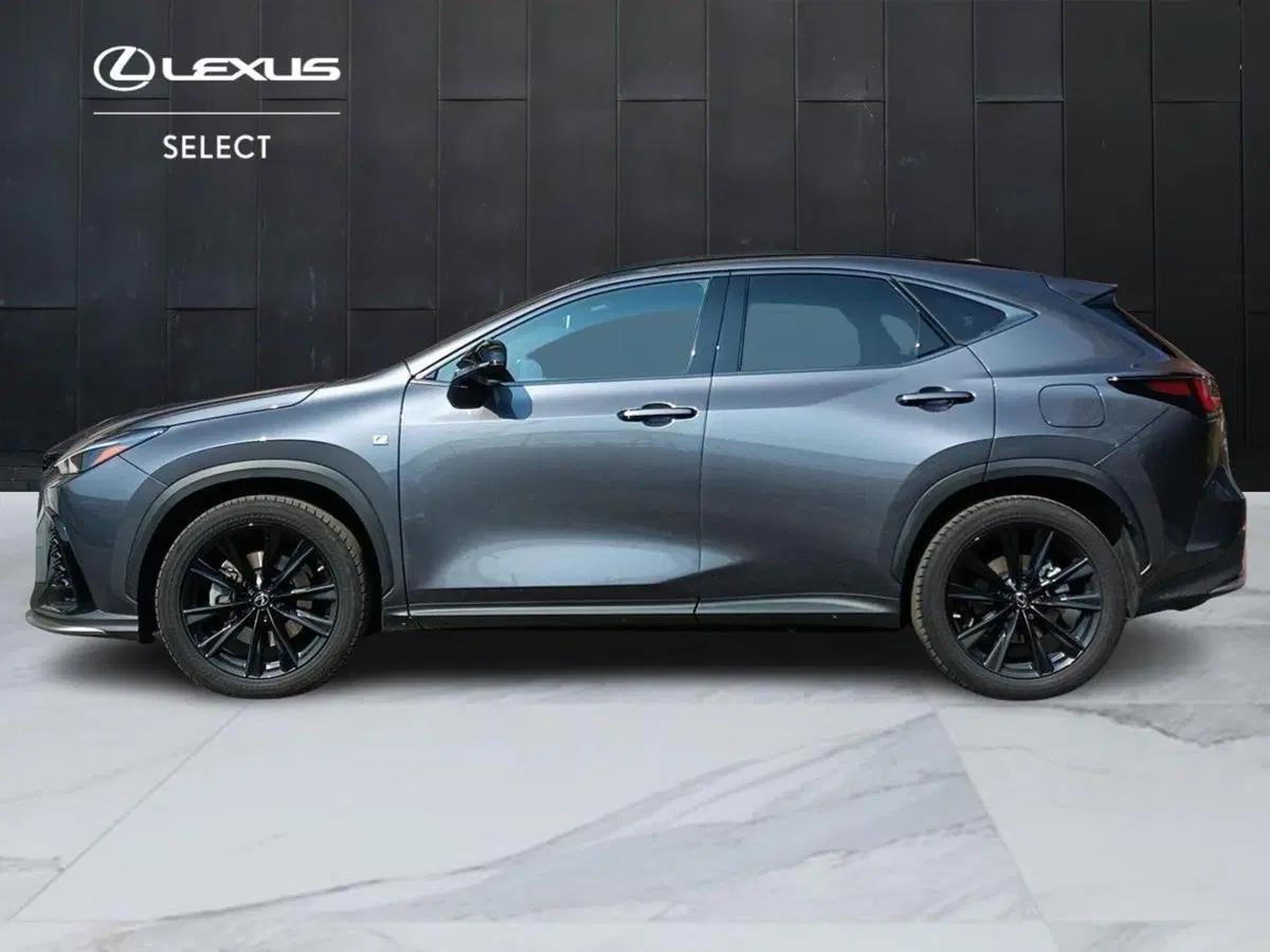 Lexus NX usata a Milano (3)