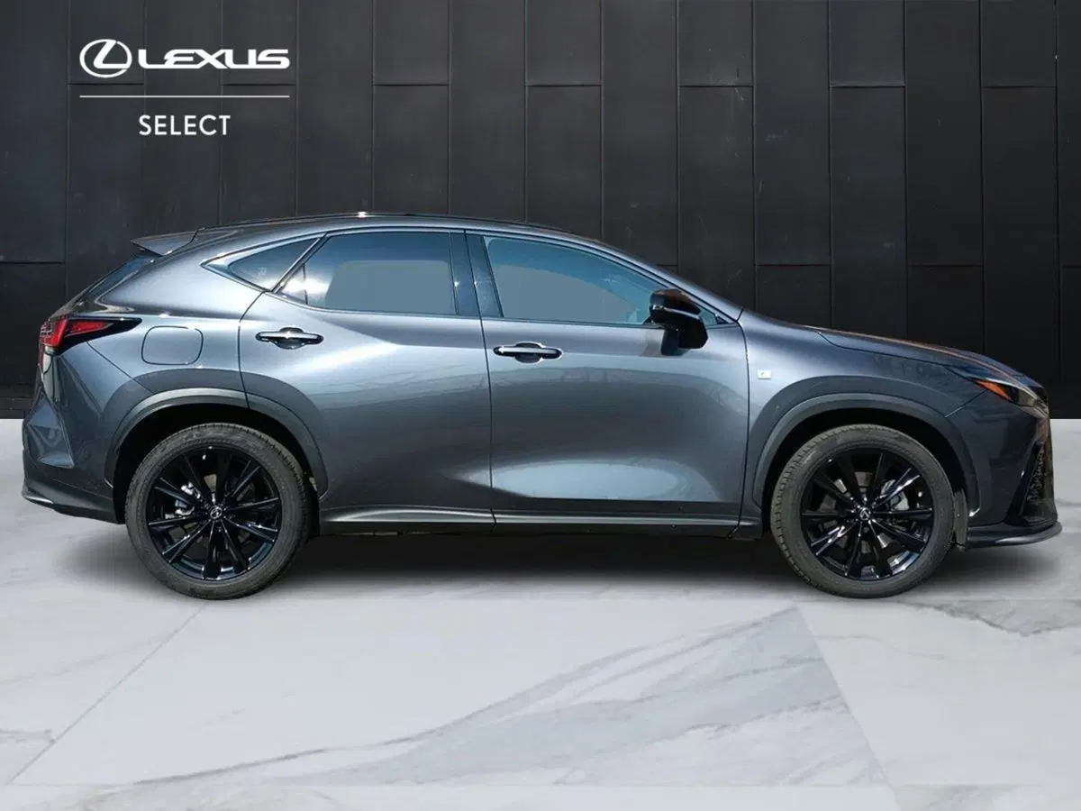 Lexus NX usata a Milano (4)