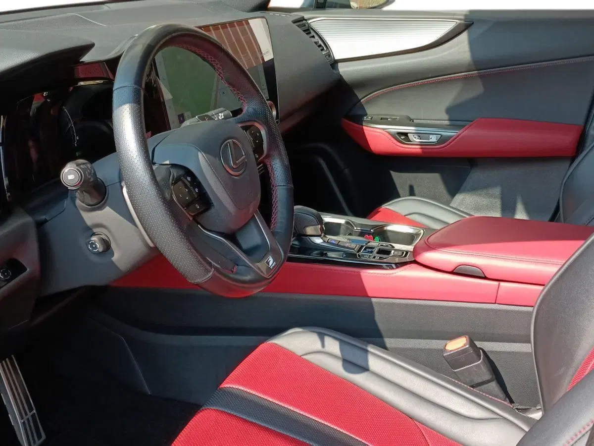 Lexus NX usata a Milano (7)