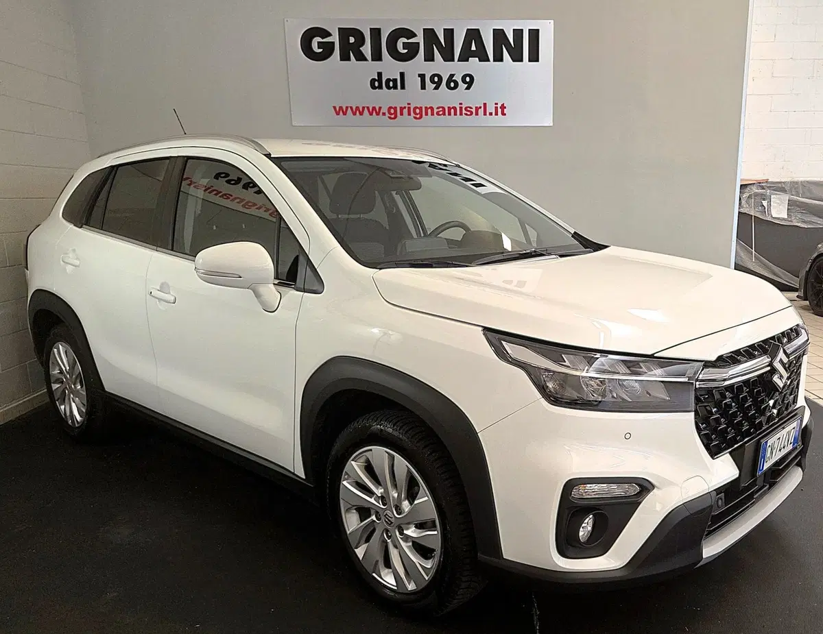 Suzuki S-Cross usata a Pavia