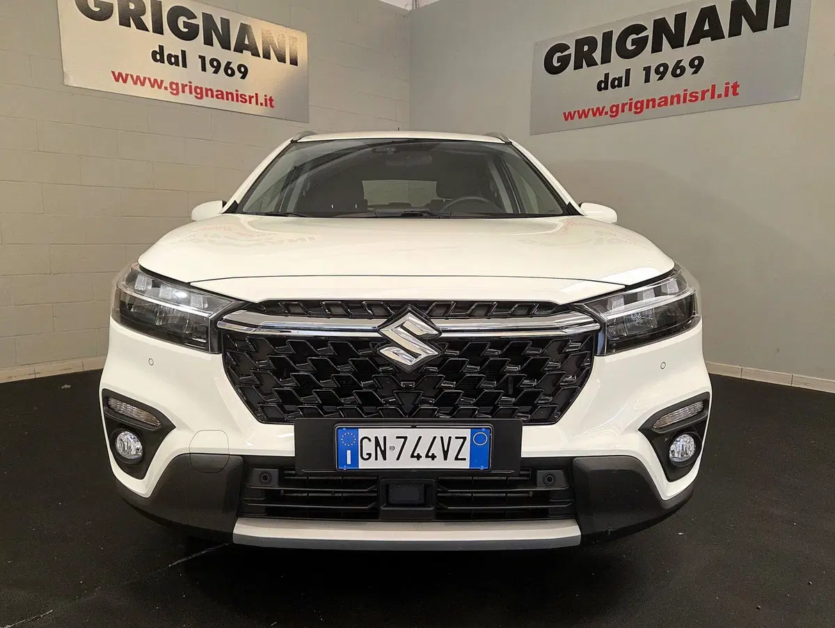 Suzuki S-Cross usata a Pavia (2)