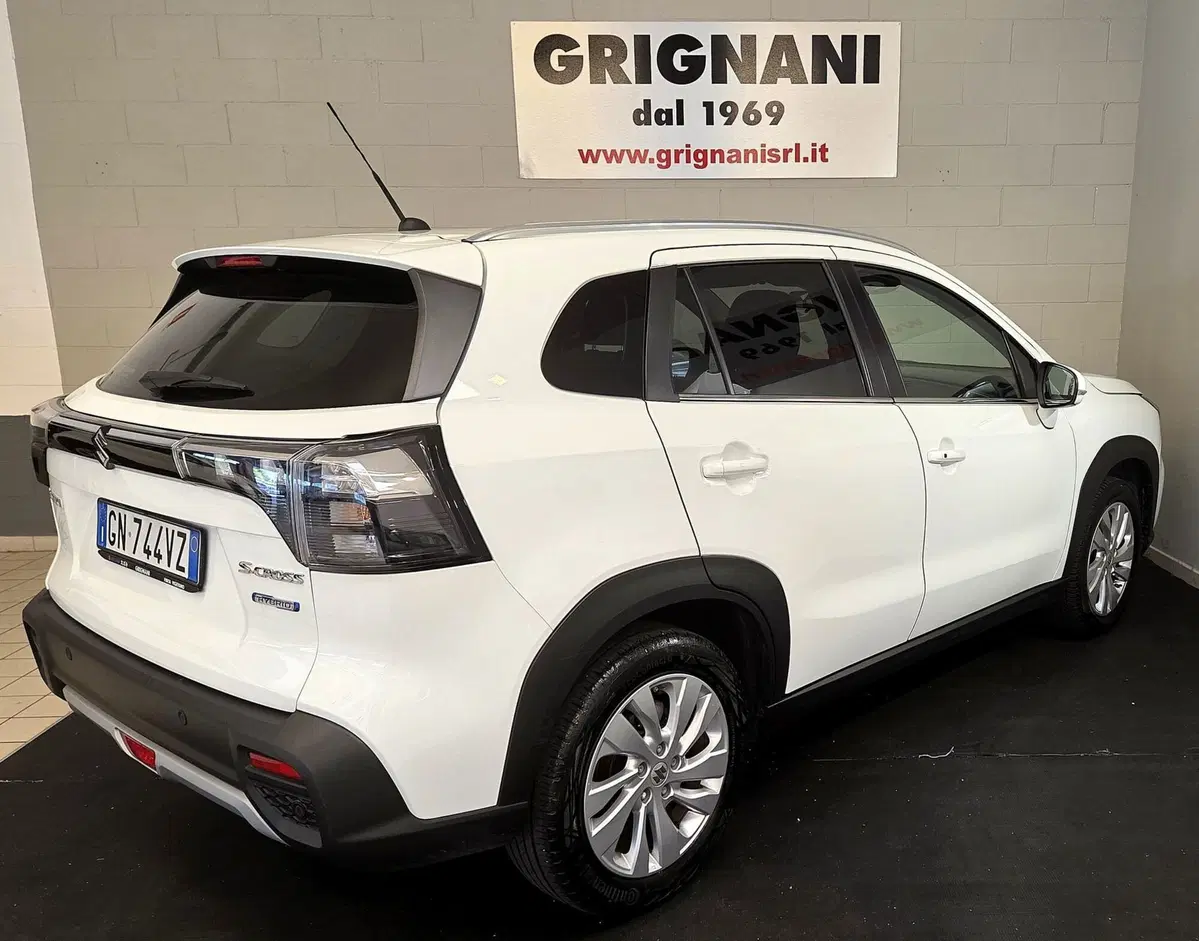 Suzuki S-Cross usata a Pavia (20)