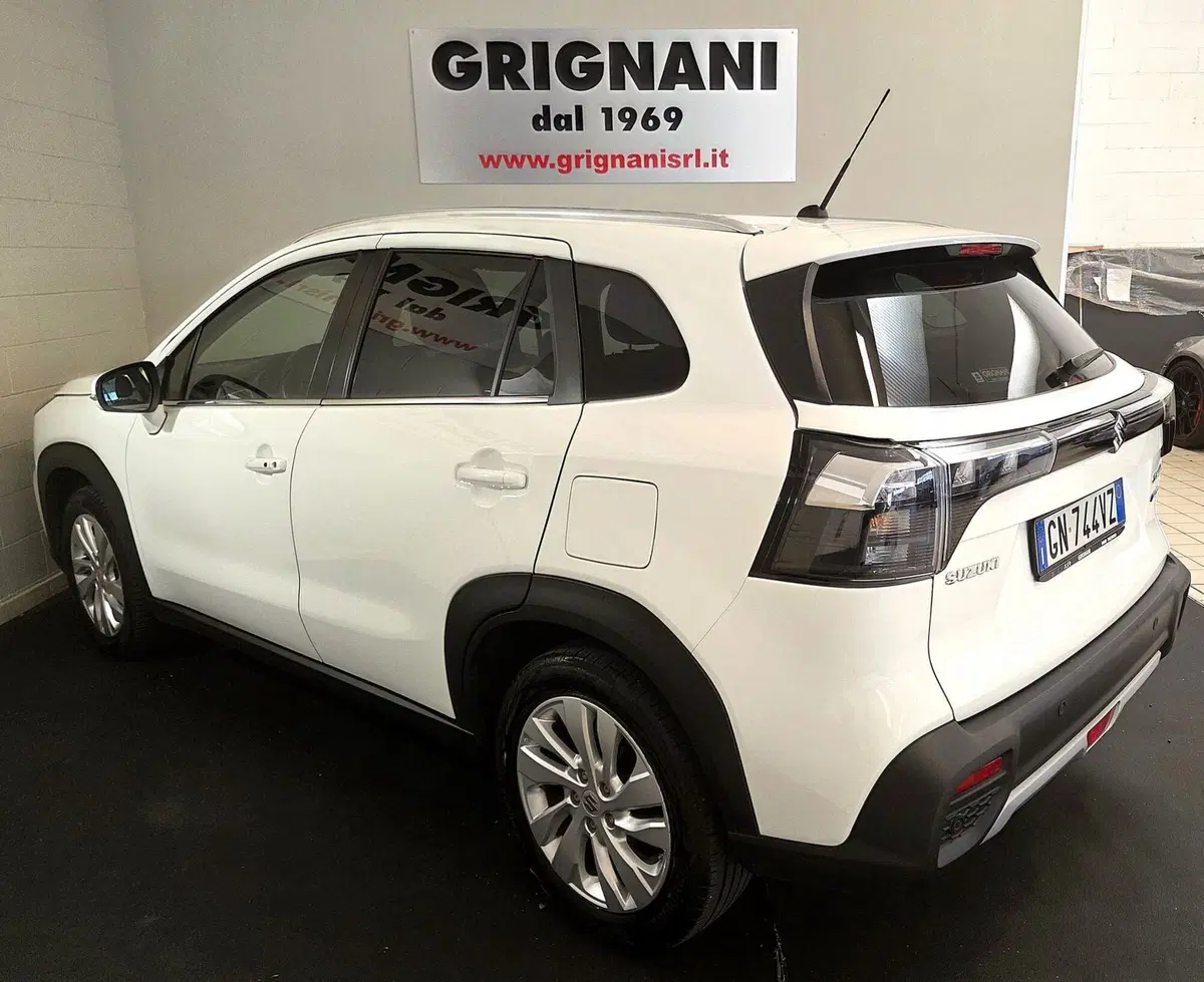 Suzuki S-Cross usata a Pavia (3)