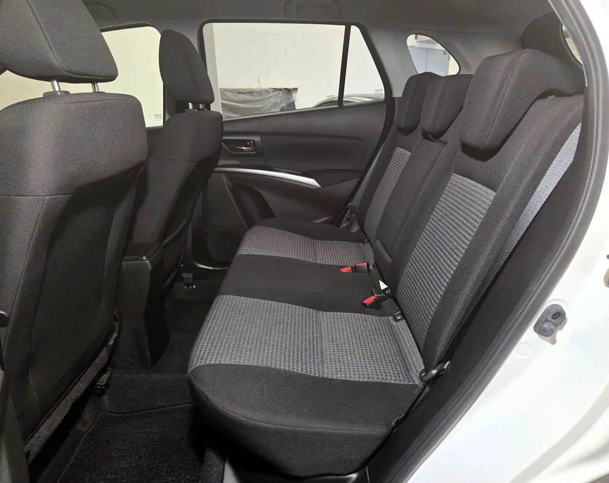 Suzuki S-Cross usata a Pavia (7)
