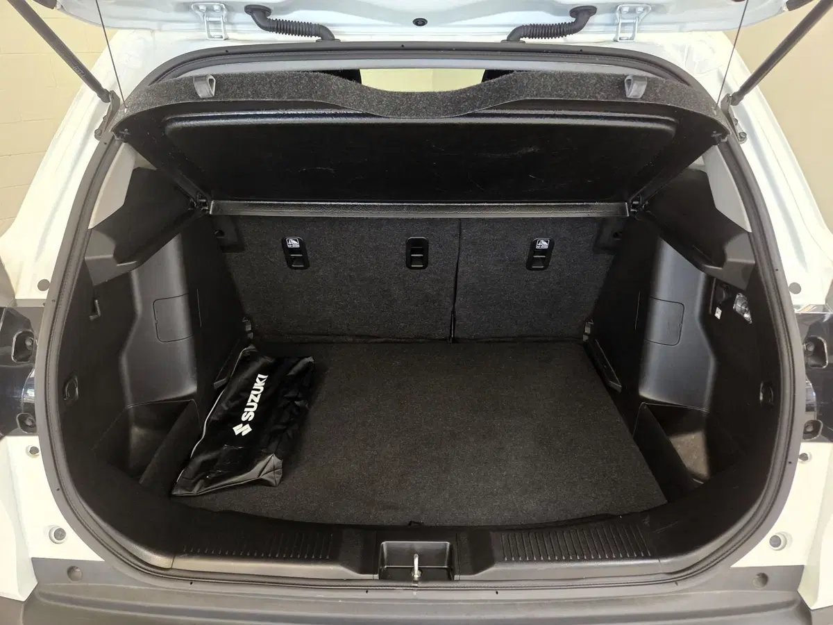 Suzuki S-Cross usata a Pavia (8)