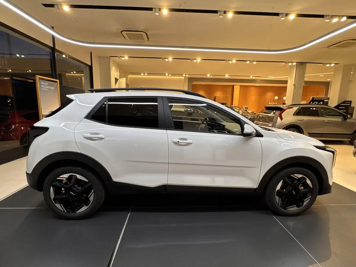Kia Stonic nuova a La Spezia (8)