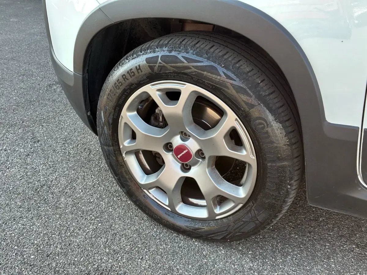 Fiat Panda Cross usata a Mantova (12)