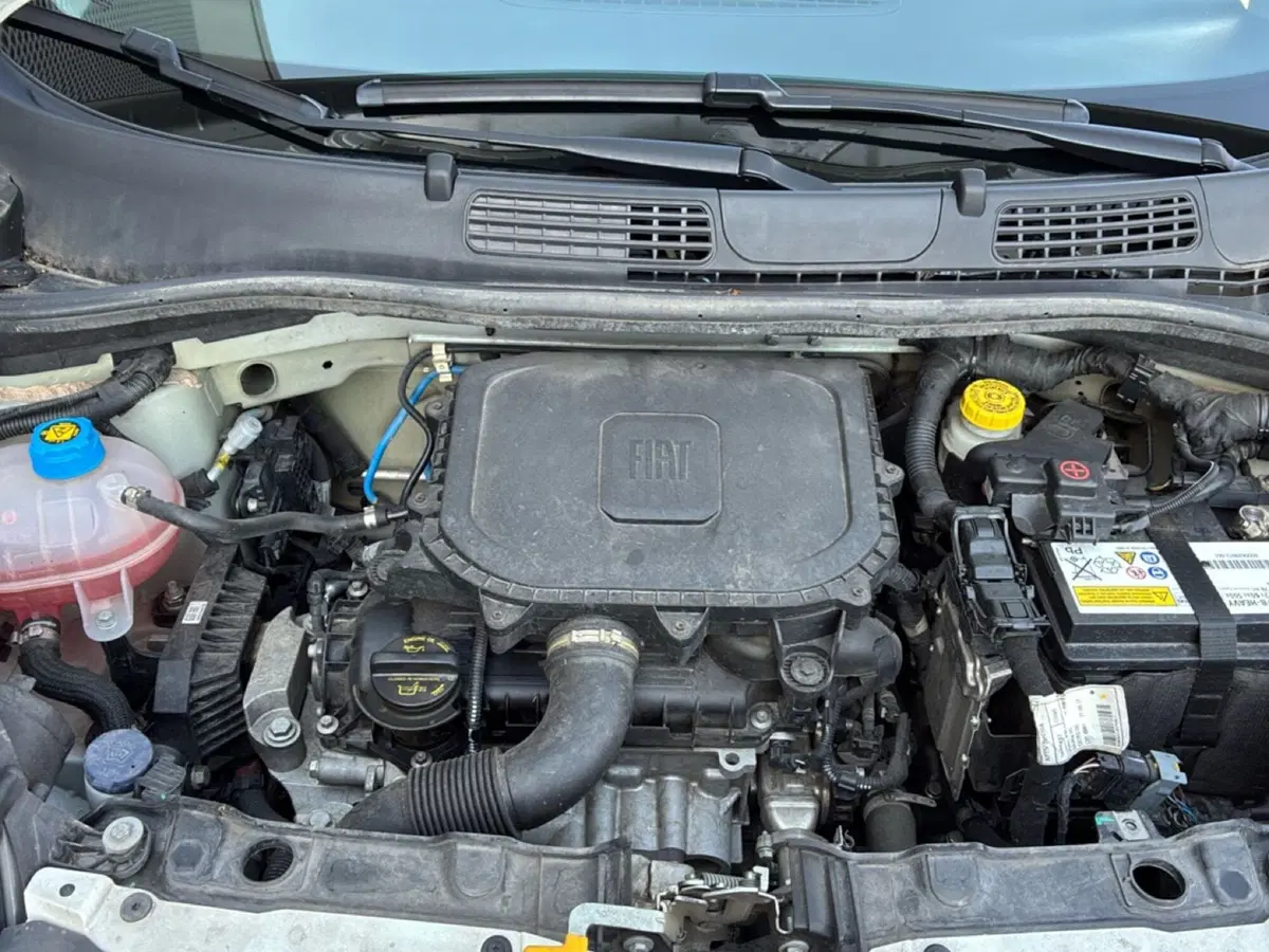 Fiat Panda Cross usata a Mantova (15)