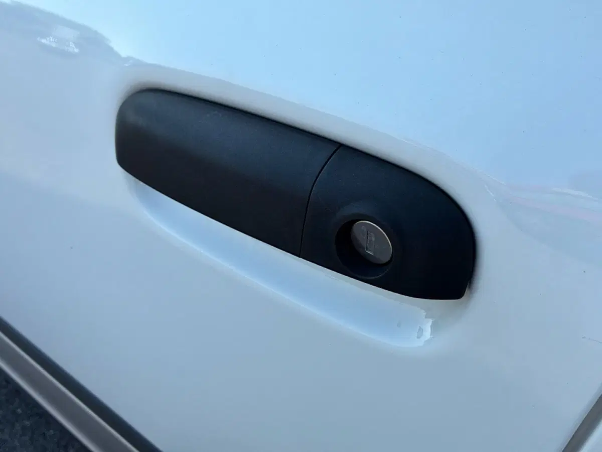 Fiat Panda Cross usata a Mantova (16)