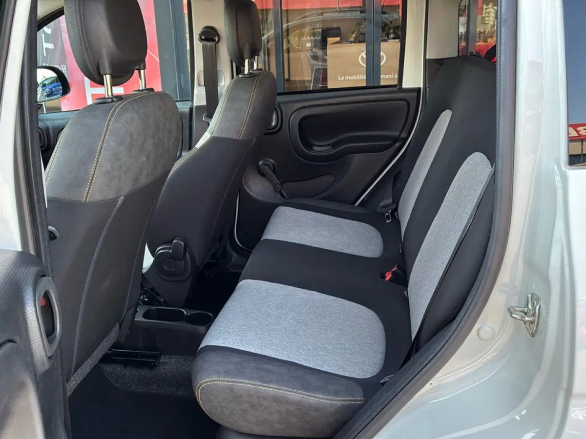 Fiat Panda Cross usata a Mantova (18)