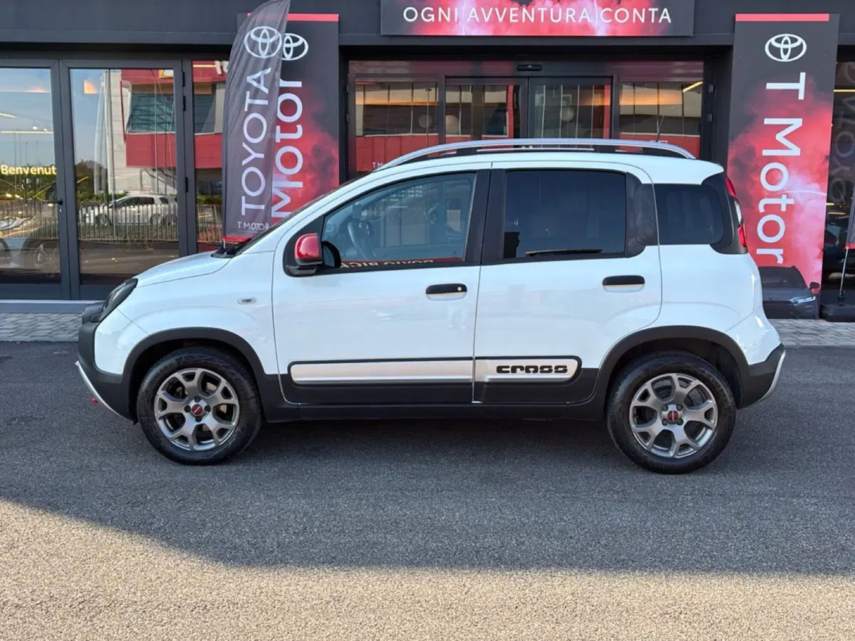 Fiat Panda Cross usata a Mantova (2)
