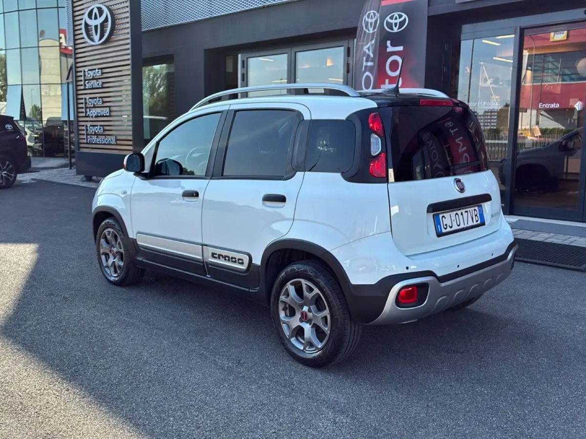 Fiat Panda Cross usata a Mantova (3)