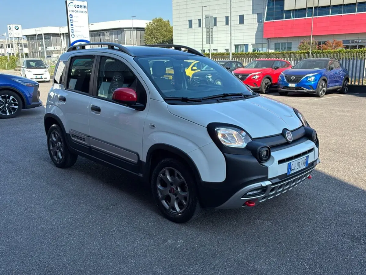 Fiat Panda Cross usata a Mantova (7)
