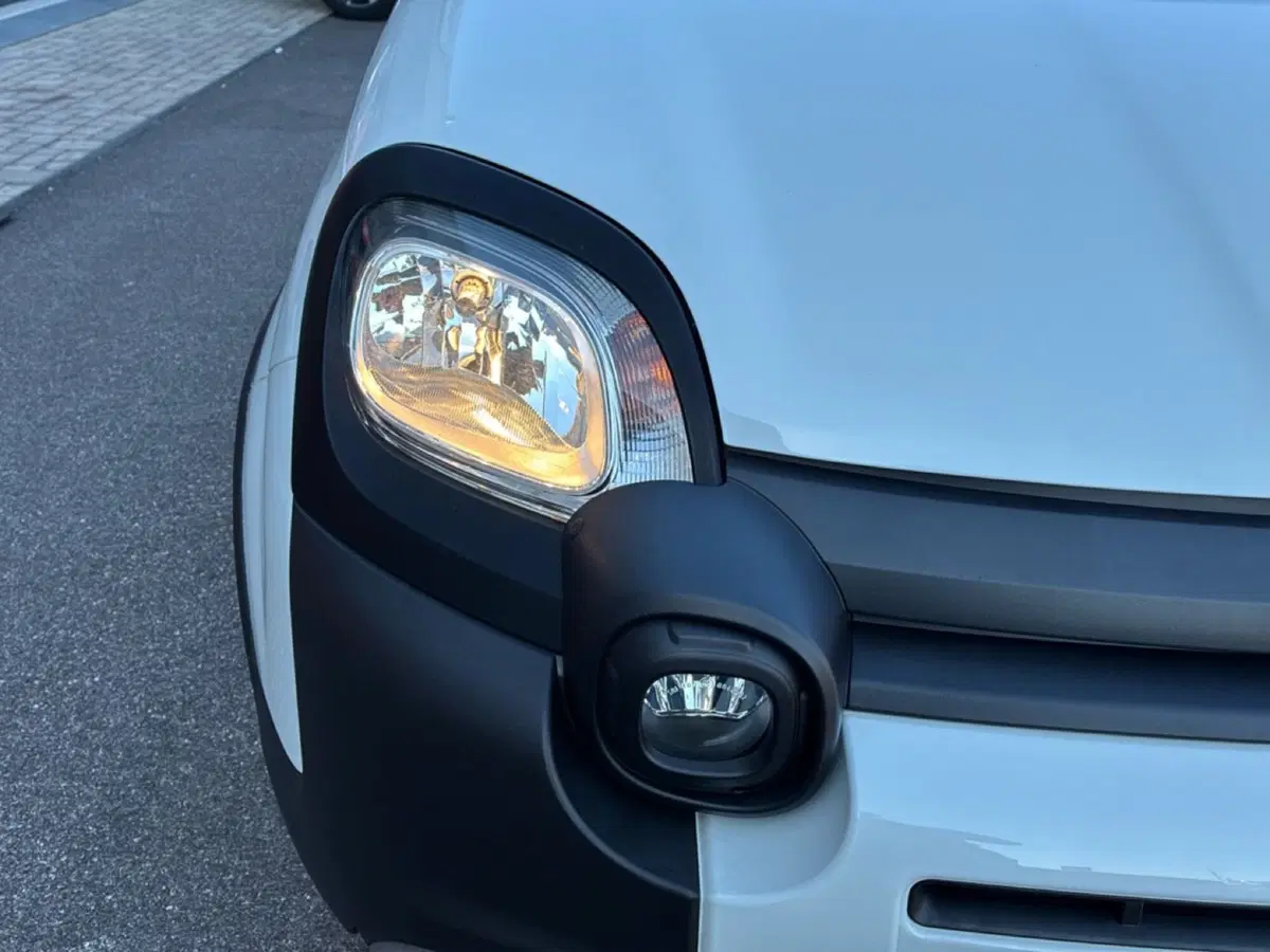 Fiat Panda Cross usata a Mantova (9)