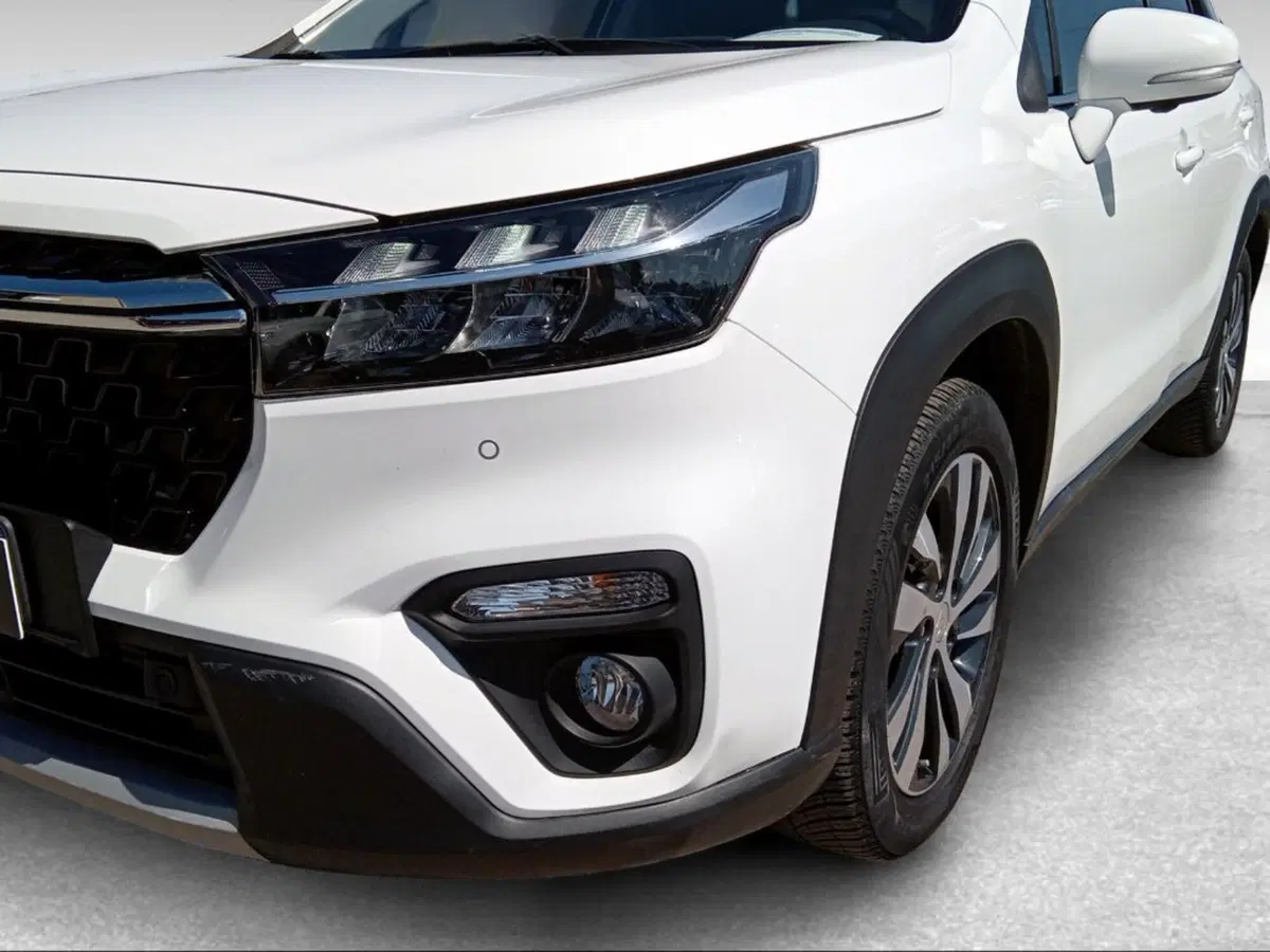 Suzuki S-Cross usata a Pisa (16)