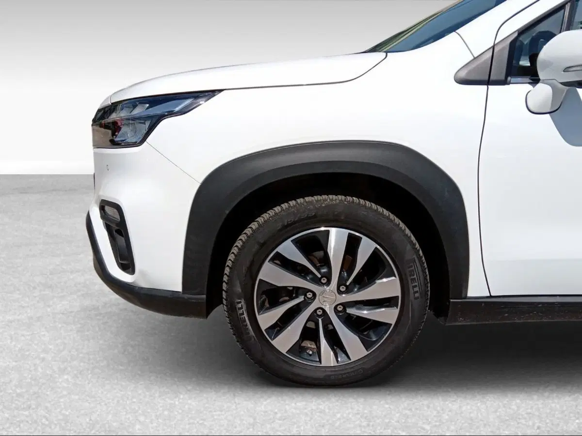 Suzuki S-Cross usata a Pisa (17)