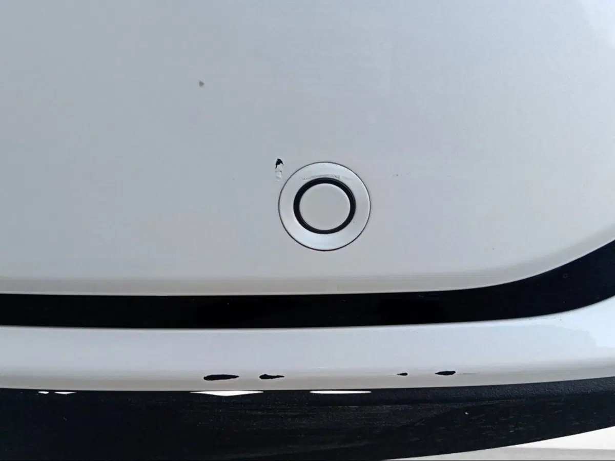 Byd Seal U DM-i usata a Pisa (19)