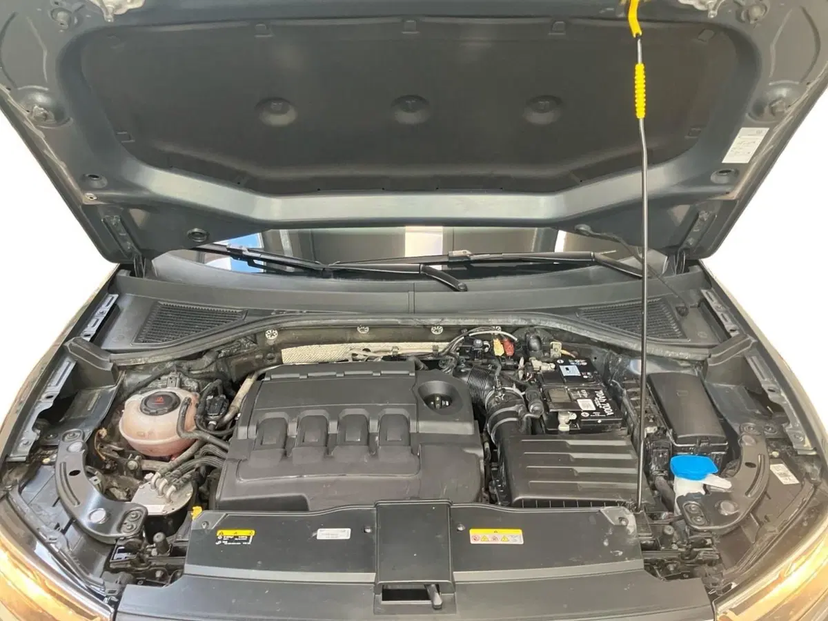 Volkswagen T-Roc usata a Bologna (12)