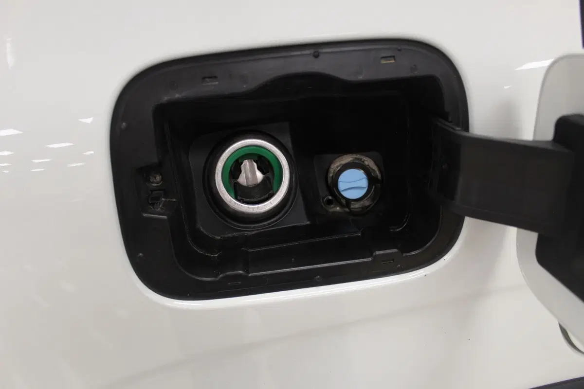 Fiat Panda usata a Torino (7)