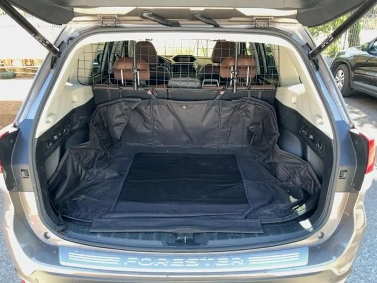 Subaru Forester usata a Como (8)