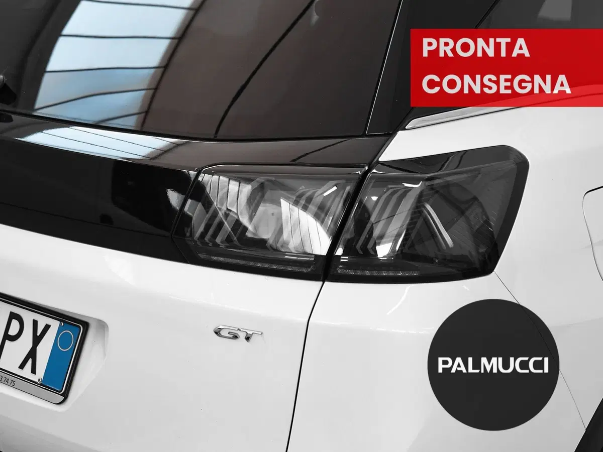 Peugeot 3008 usata a Prato (7)