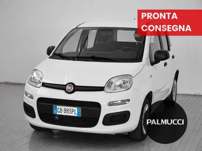 Fiat Panda 1.2 Easy del 2020 usata a Prato