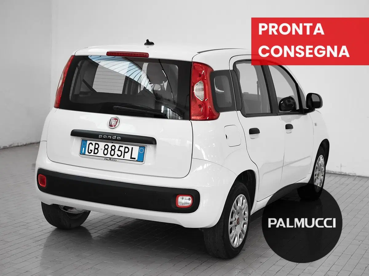 Fiat Panda usata a Prato (2)