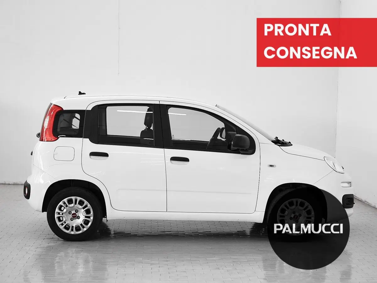 Fiat Panda usata a Prato (4)