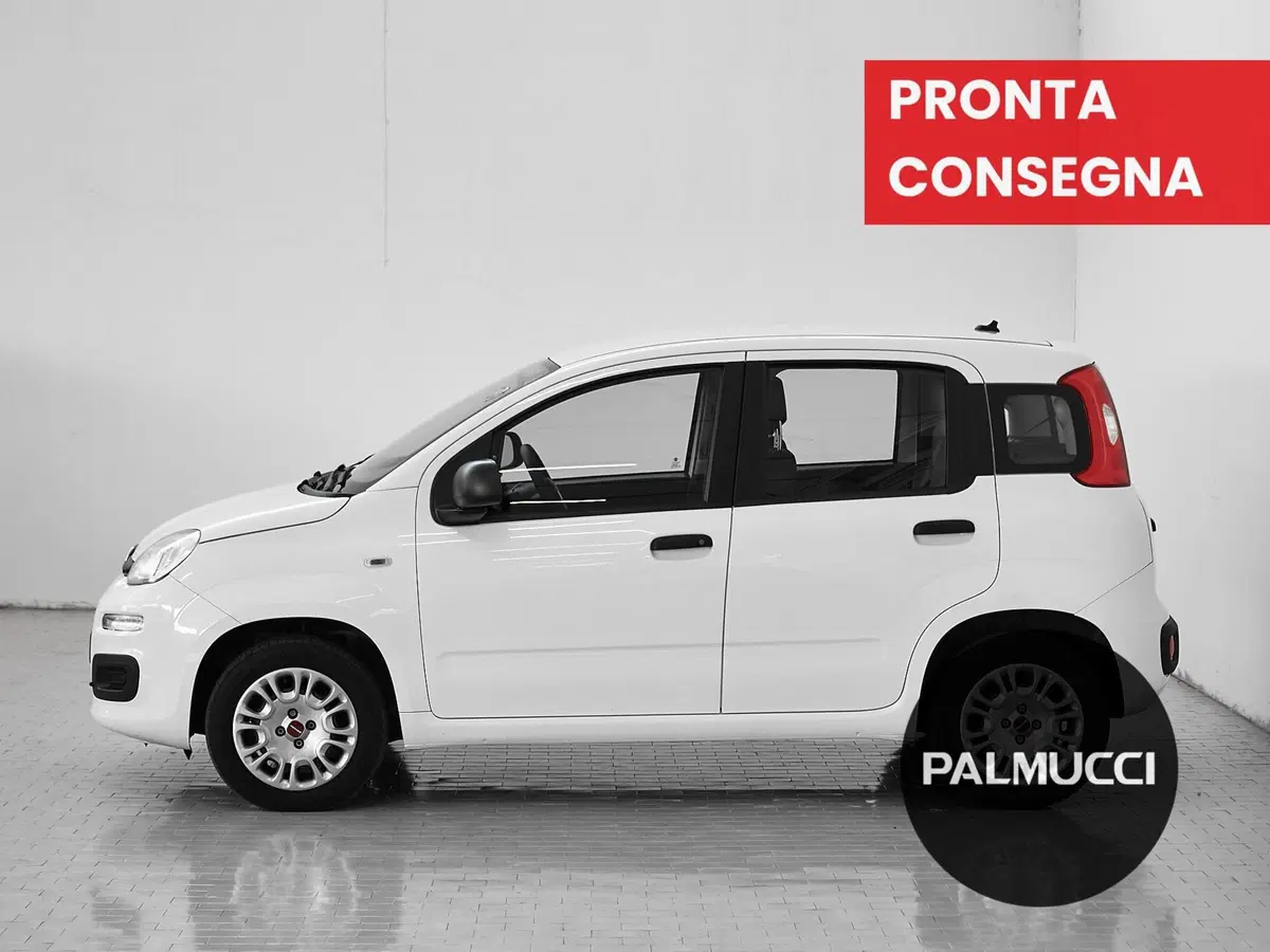 Fiat Panda usata a Prato (5)