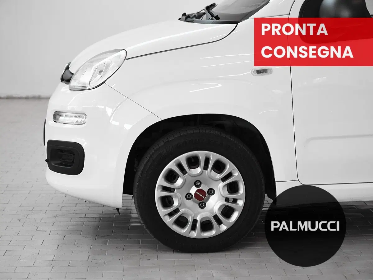 Fiat Panda usata a Prato (6)