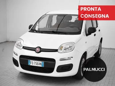 Fiat Panda 1.2 Easy del 2016 usata a Prato