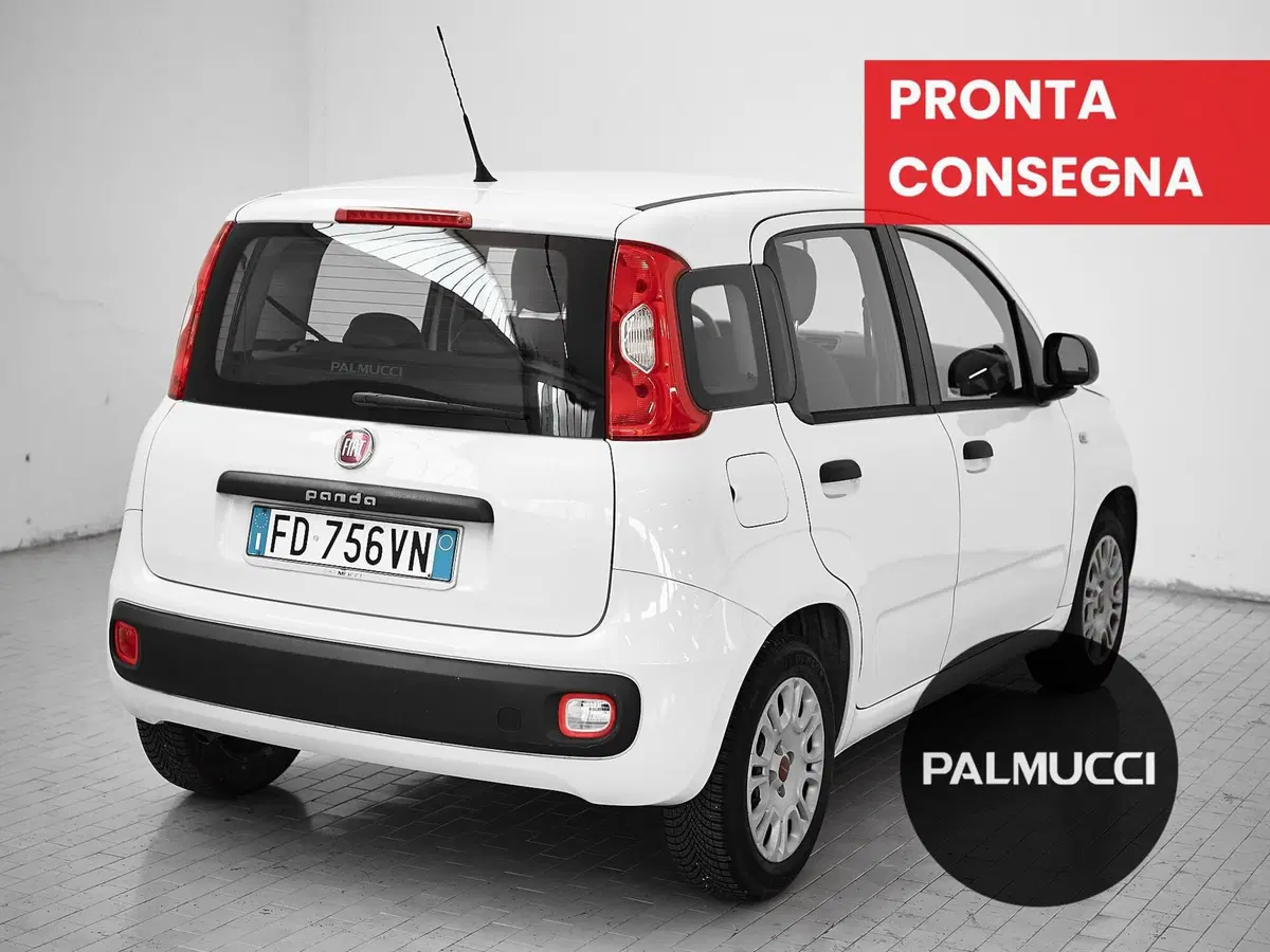 Fiat Panda usata a Prato (3)