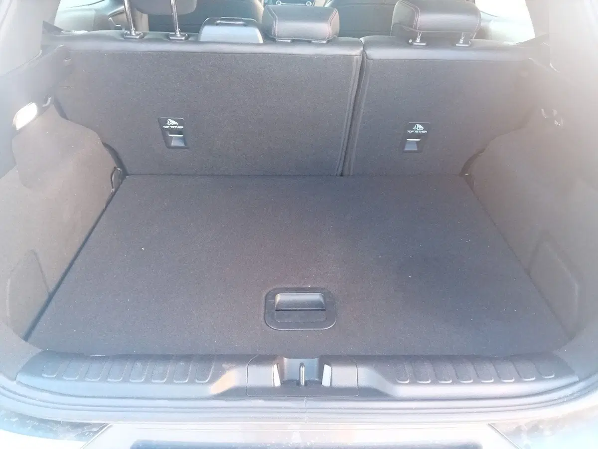 Ford Puma usata a Pordenone (10)