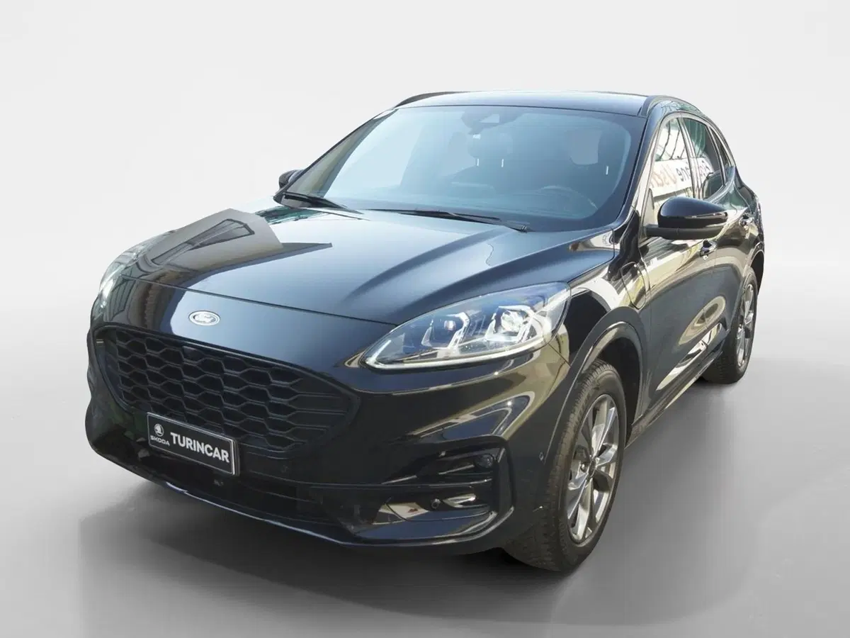 Ford Kuga usata a Torino (13)