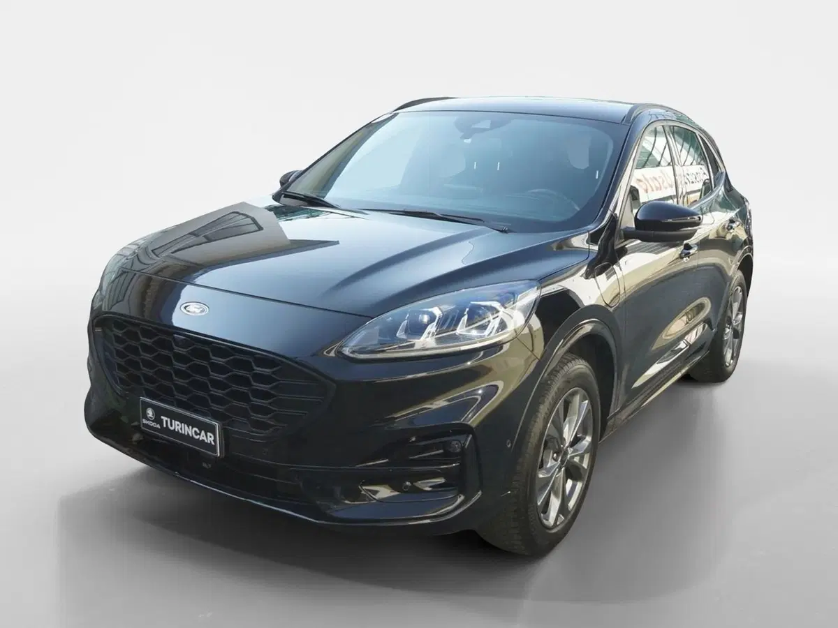 Ford Kuga usata a Torino (3)