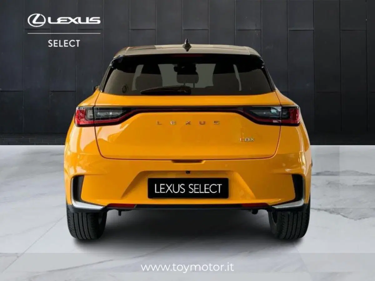 Lexus LBX usata a Perugia (13)