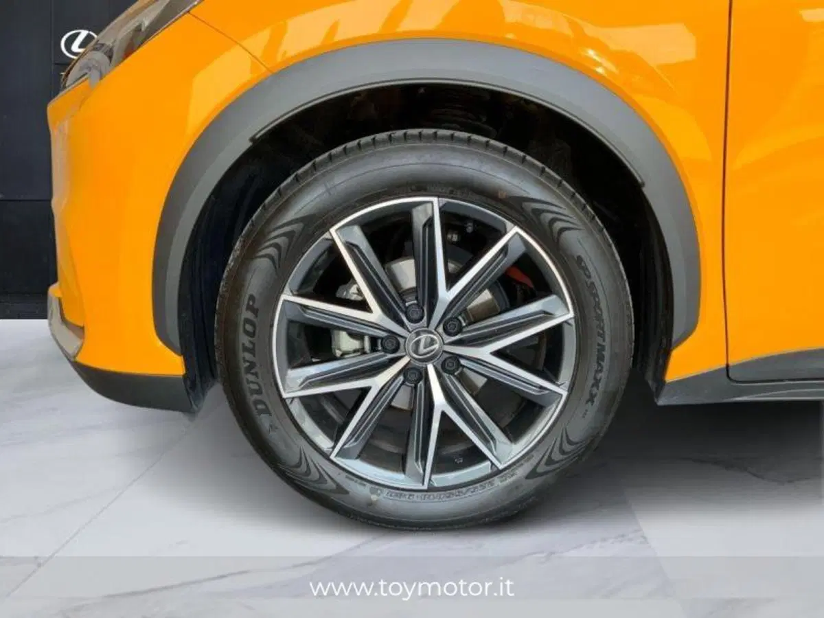 Lexus LBX usata a Perugia (14)