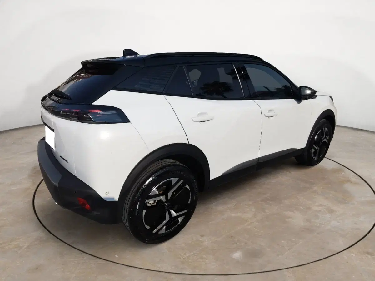 Peugeot 2008 usata a Taranto (4)