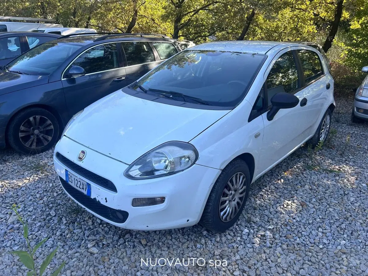 Fiat Punto usata a Arezzo