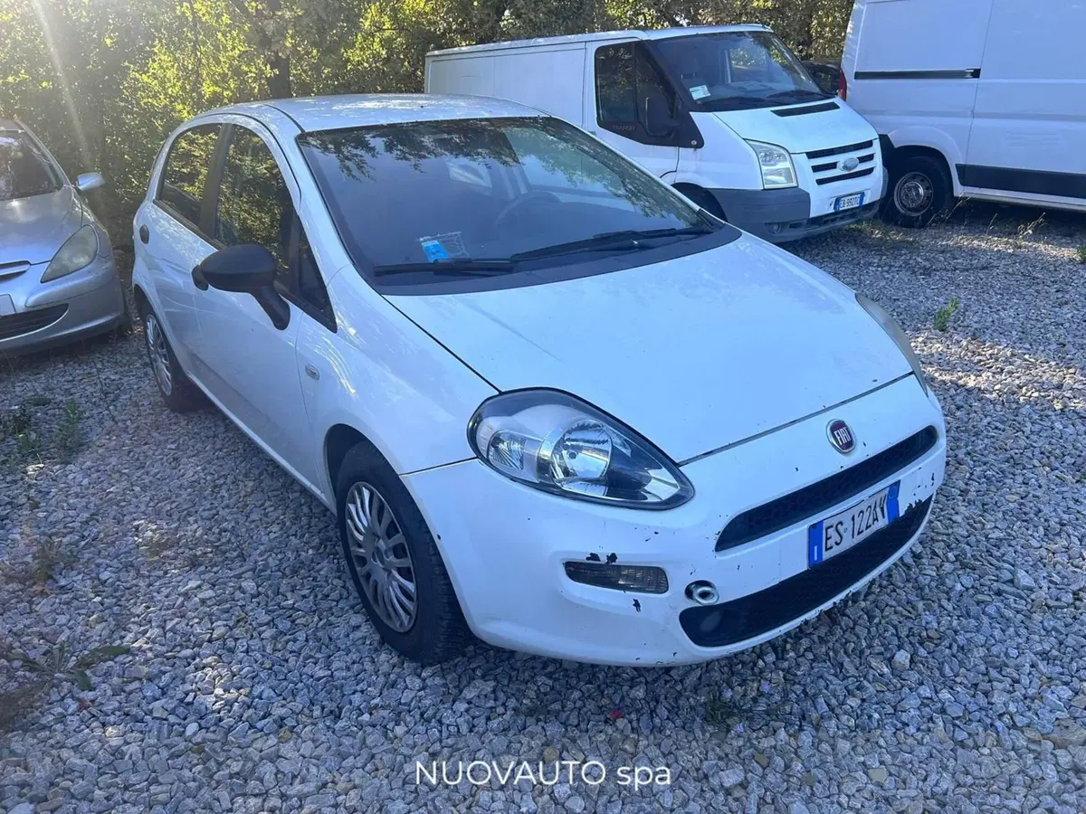 Fiat Punto usata a Arezzo (2)