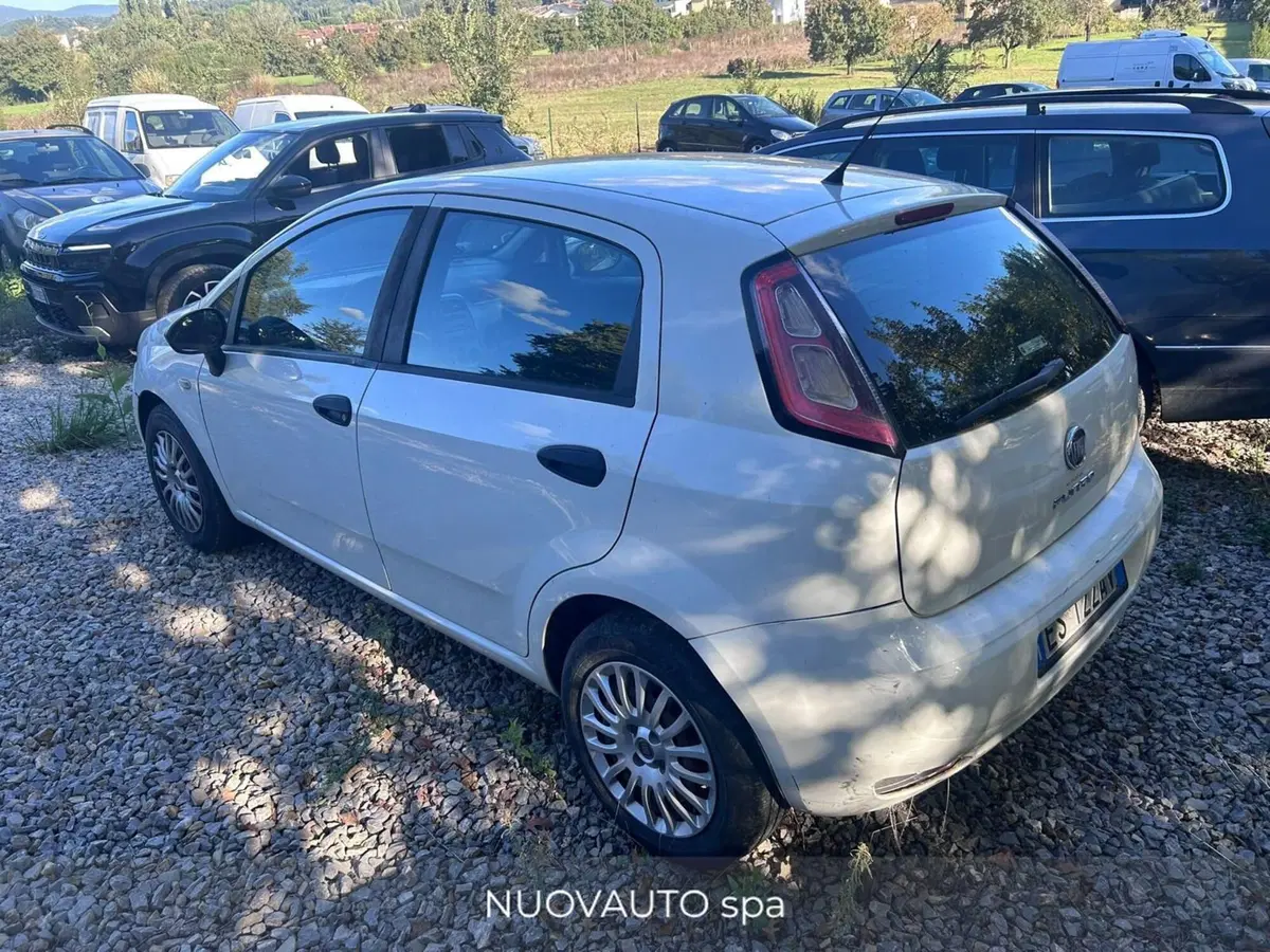Fiat Punto usata a Arezzo (3)