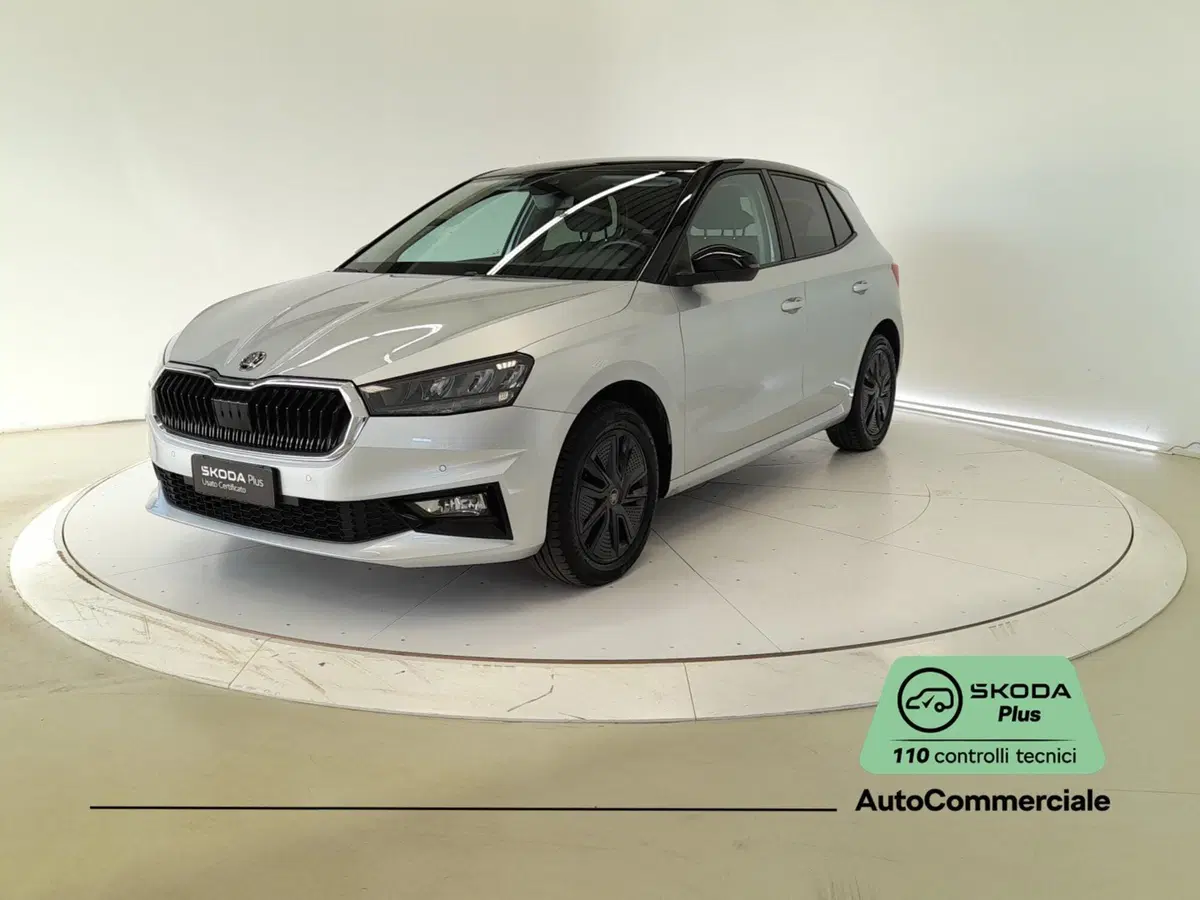 Skoda Fabia usata a Bologna (3)