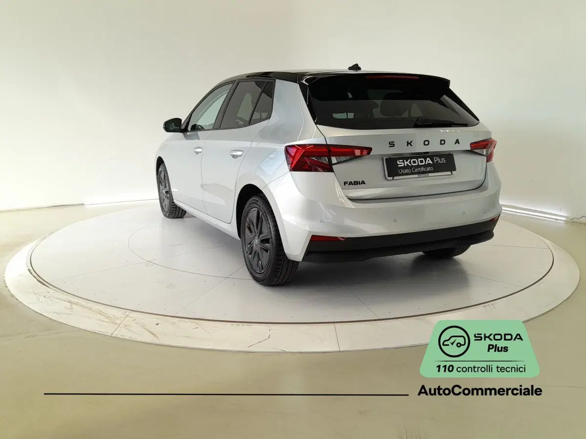 Skoda Fabia usata a Bologna (4)