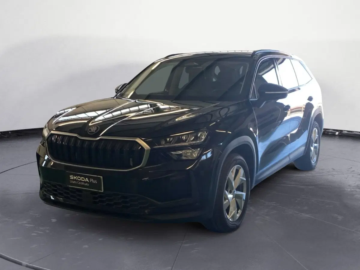 Skoda Kodiaq usata a Reggio Calabria