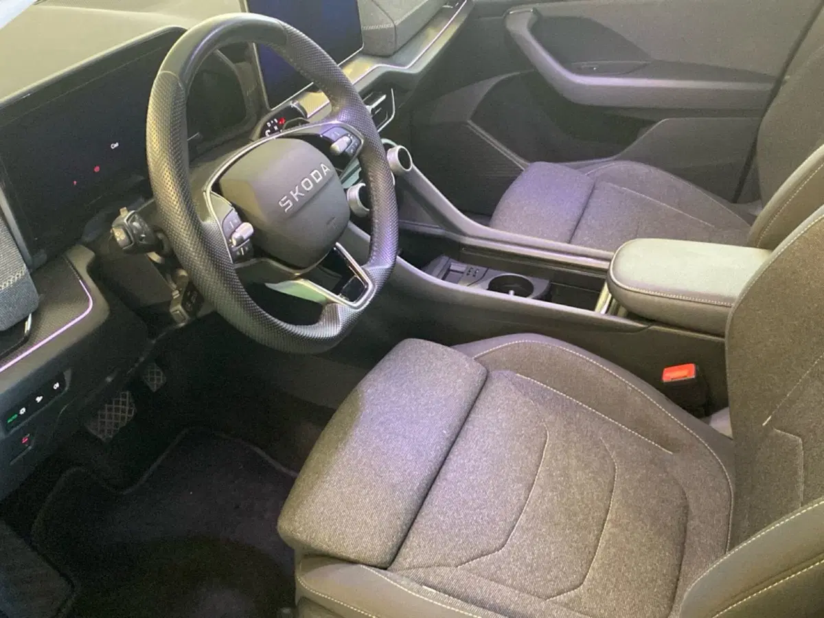 Skoda Kodiaq usata a Reggio Calabria (14)