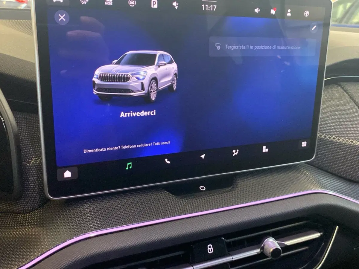 Skoda Kodiaq usata a Reggio Calabria (16)